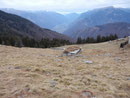 Alpe della Costa 1611 m