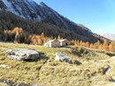 Alp de Quarnei 1753 m (Valle della Forcola / Soazza) (GR)
