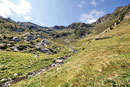 Val d'Albionasca