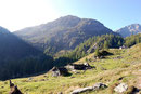 Alpe di Sfii 1666 m - Valle di Campo