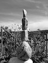 Nr. 121 -  Steinbalance