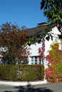 Wohnhaus Fassade West