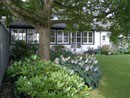 Wohnhaus Fassade Garten