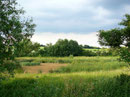 2003, ein nierschlagsarmer Sommer, der Teich war trocken gefallen