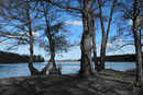 Berliner Havellandschaft an der Pfaueninsel