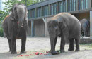 Im Berliner Zoo