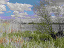 Landschaft bei Lebus an der Oder