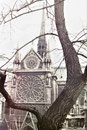 Paris Februar 1967