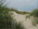 Dünenlandschaft auf Borkum