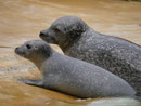 Im Berliner Zoo