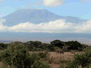 Mount Kilimanjaro Amboseli Nationalpark Kenia