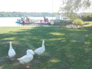 Niagara-on-the-lake, Ontario, Kanada