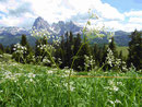 Blick auf die Seiser Alm und den Langkofel, Südtirol