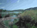 Flusslandschaft nahe Olympia, Peleponnes