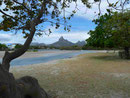 Tamarin / Mauritius