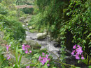 Flusslauf bei den Königsgräbern, Bali, Indonesien