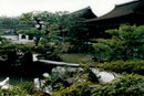 Zen-Garten in Kyoto, Japan