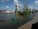 Alter Hafen Pellworm