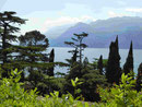 Blick auf den Gardasee von Malchesine