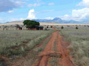 Taita Hills Reserve Kenia