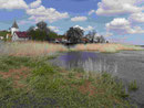 Landschaft bei Lebus an der Oder