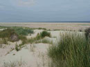 Dünenlandschaft auf Borkum