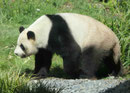 Im Berliner Zoo