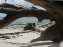 Anse Source d'Argent, La Digue, Seychellen