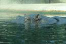 Im Berliner Zoo