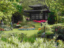 Japanischer Garten Leverkusen