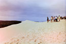 Dunes de Pilar an der Atlantikküste, Südwestfrankreich