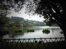 Milchsee nahe dem Zahntempel in Kandy, Sri Lanka
