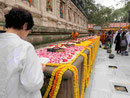Blumenspenden am  Mahabodhi Tempel von Bodhgaya, Indien