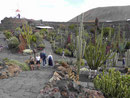 Blick auf den Jardin de Cactus, Lanzarote