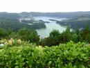 Kratersee bei Sete Cidades, Sao Miguel, Azoren