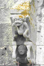 Wasserspeier an der Kathedrale von Chartres, Frankreich