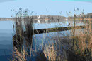 An der Berliner Havel mit Blick auf Schloß Pfaueninsel