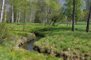 Landschaft in Lettland