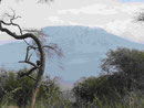 Mount Kilimanjaro Amboseli Nationalpark Kenia