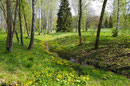 Landschaft in Lettland