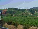 Weingut in Chile