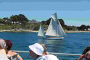 Traditionssegler im Golf von Morhibhan, Bretagne