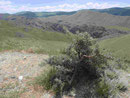 Armenische Landschaft