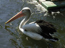 Im Berliner Zoo