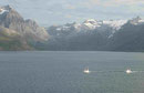 In der Welt der Fjorde südlich von Tromsö, Norwegen