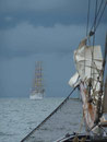 Hanse Sail Rostock 2013, polnisches Segelschulschiff