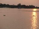 Sonnenuntergang mit Flusspferden am Okawango in Namibia