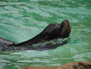 Im Berliner Zoo