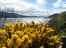 Am Loch Ness