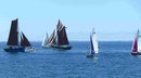 Traditionssegler im Golf von Morhibhan, Bretagne